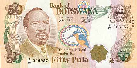 プラ(表) プラ(表)