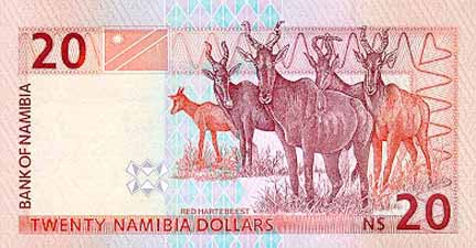 ナミビア・ドル(裏)