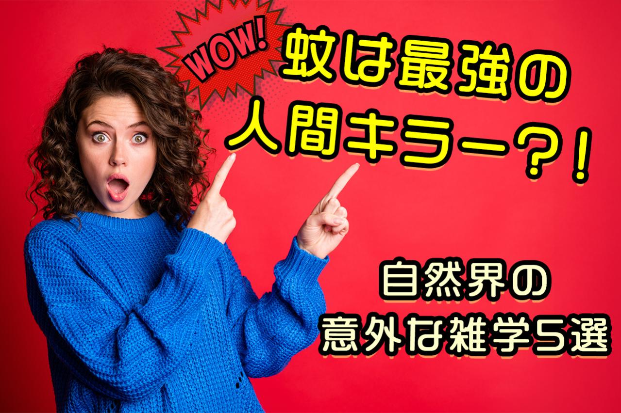 【驚愕】蚊は最強の人間キラー！？エアーズロックやトウモロコシの秘密まで、自然界の意外な雑学5選