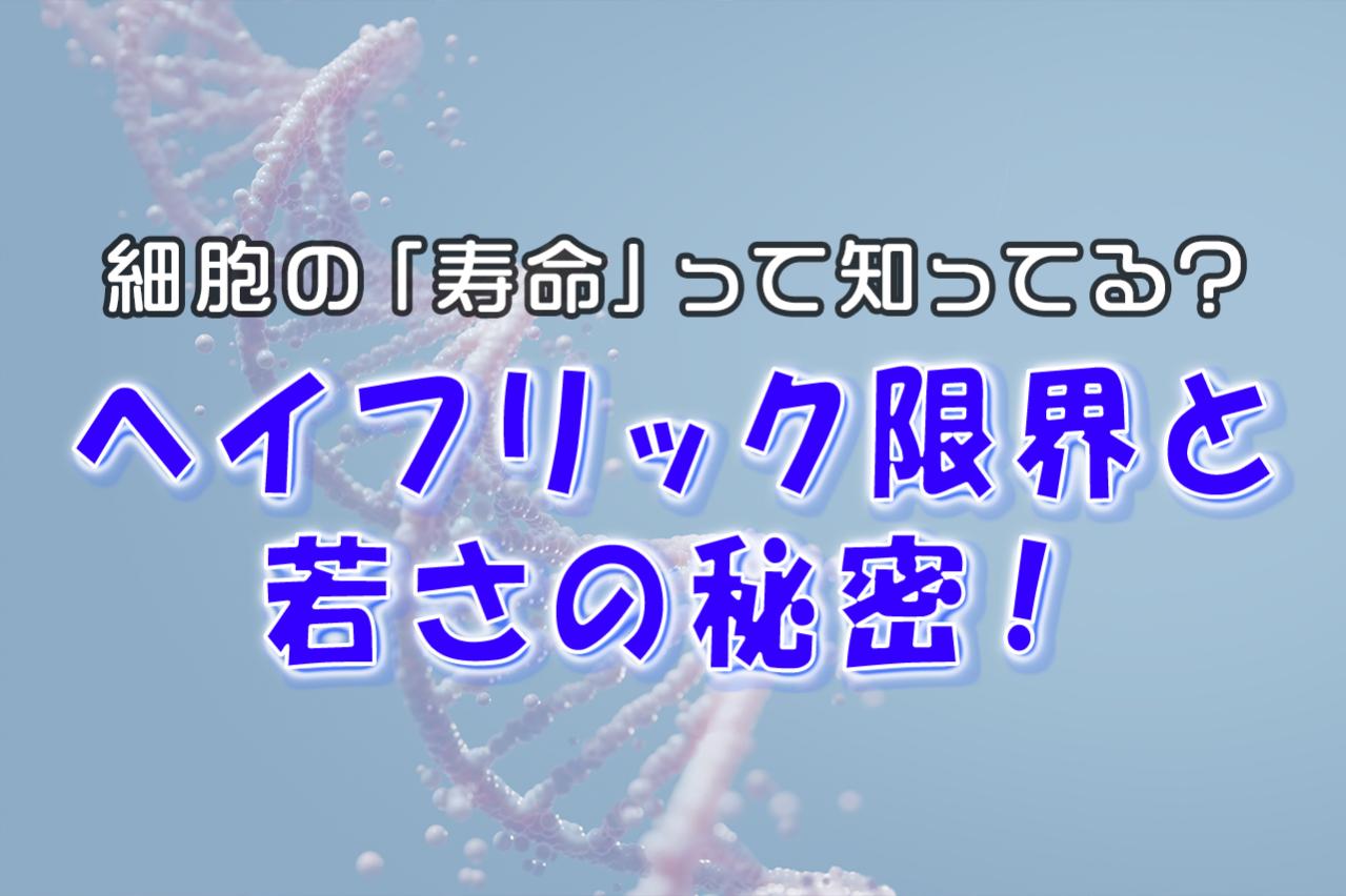 細胞の「寿命」って知ってる?ヘイフリック限界と若さの秘密!