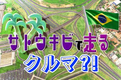 え?!ブラジルの車はサトウキビで走るって本当?驚愕のエネルギー事情を徹底解説!