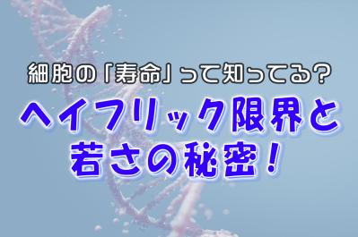 細胞の「寿命」って知ってる?ヘイフリック限界と若さの秘密!