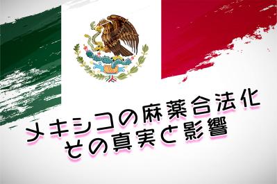 メキシコの麻薬合法化、その真実と影響:現地滞在者が知っておくべき最新事情