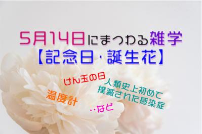 5月14日にまつわる雑学（記念日・誕生花）｜人類史上初めて撲滅された感染症、けん玉の日…