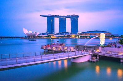 マーライオンの視線：シンガポール史に潜む、ライオンとトラの物語