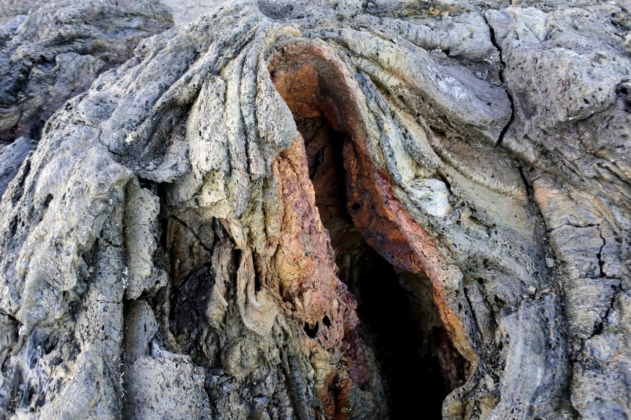 キラウエア火山の溶岩樹型