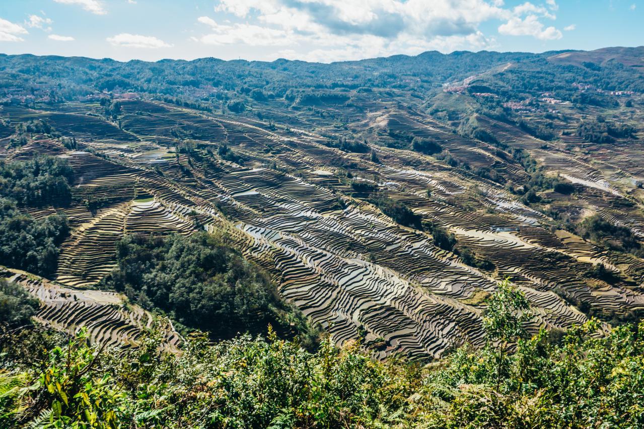 紅河ハニ棚田群の文化的景観