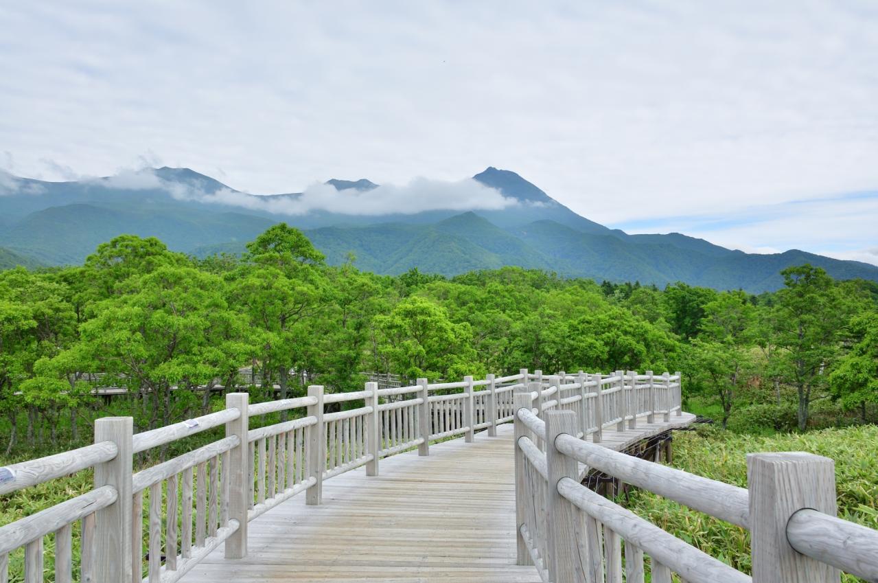 知床の風景