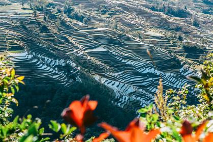 紅河ハニ棚田群の文化的景観